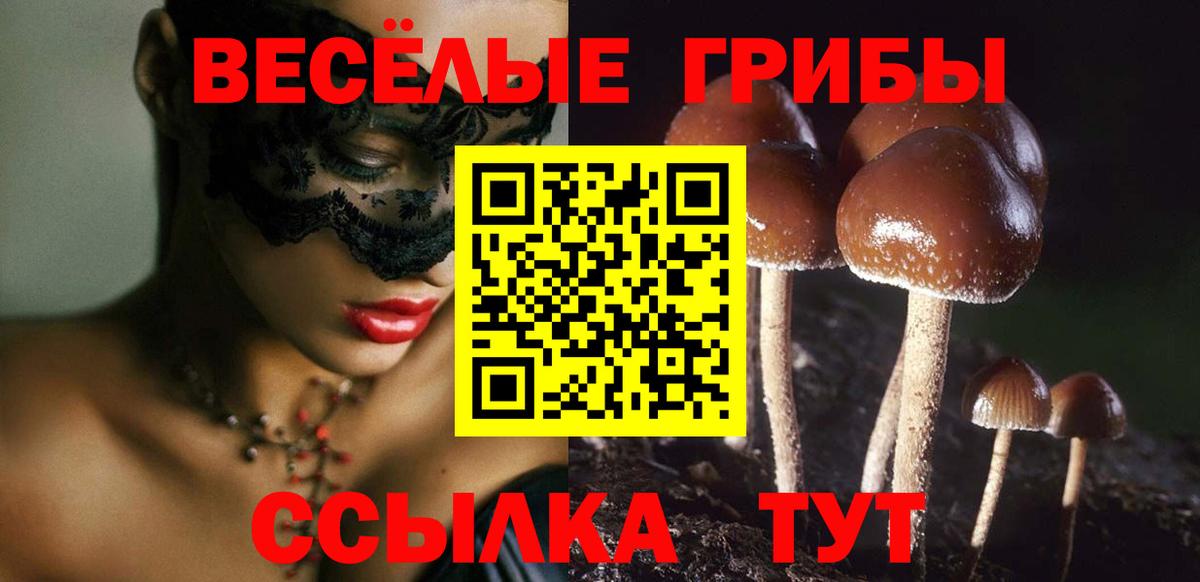 Галлюциногенные грибы Psilocybe  Вход с VPN  Балаково 